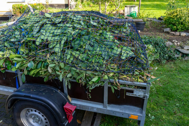 Professional Junk Removal Services in Miami Springs, FL